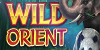 Wild Orient