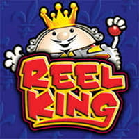 Reel King